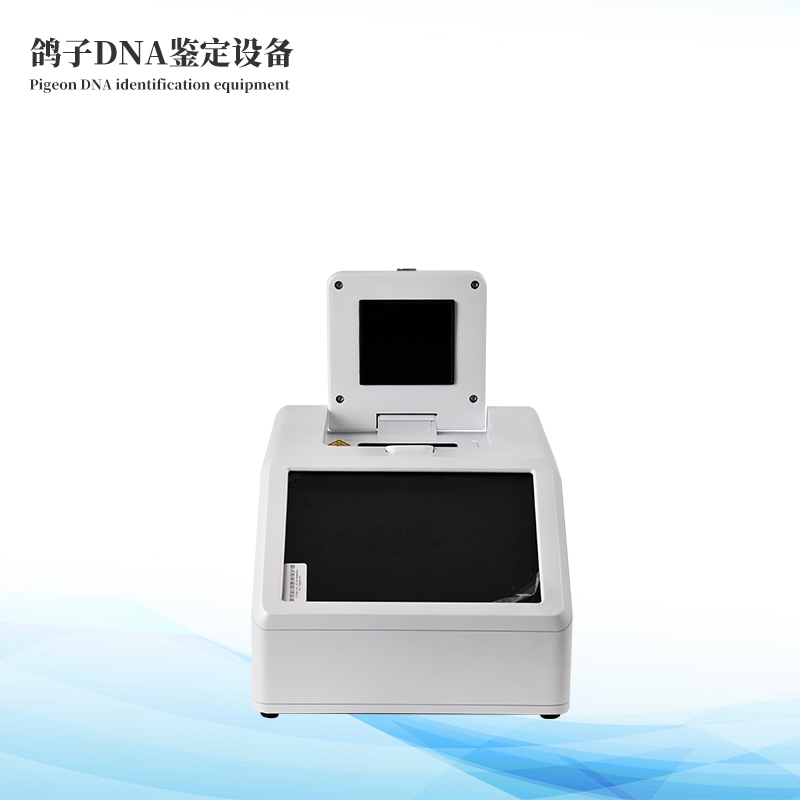 鸽子dna鉴定仪器