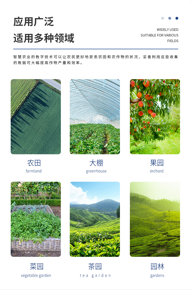 源文件-杏盛_05.jpg