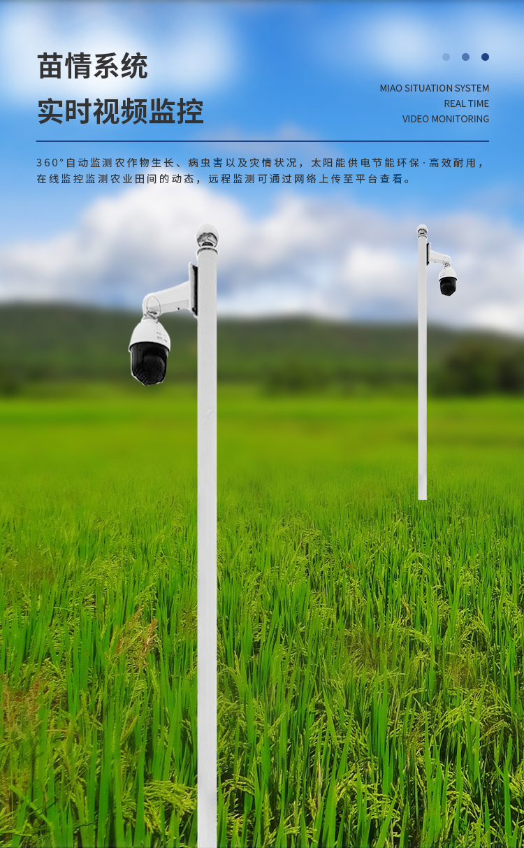 源文件-杏盛_08.jpg