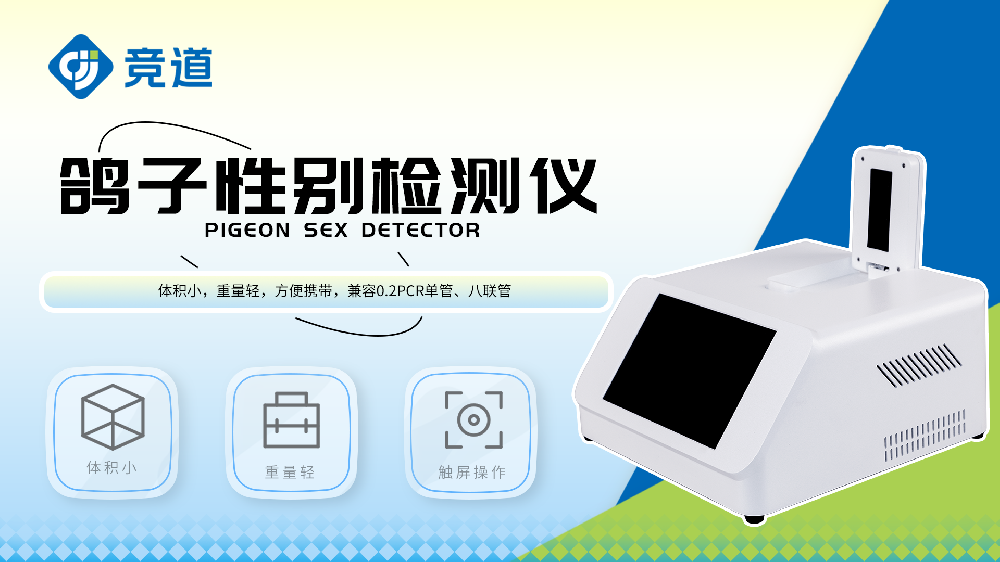 鸽子性别检测仪精准判定鸽子性别