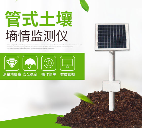 管式土壤墒情监测仪