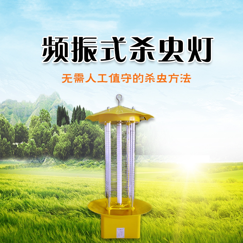 如何科学使用太阳能频振式杀虫灯？